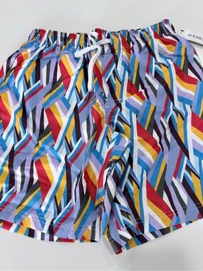 2(X)IST Woven Stripe Catalina Swim Short